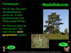 Fehlerlesen-Nadelbäume-Übung.pdf